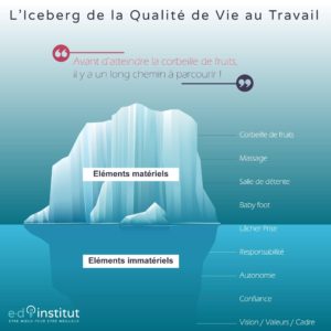Iceberg de la QVT