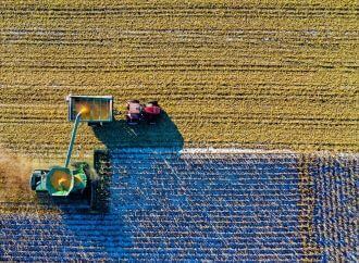 Valorisation données agricoles