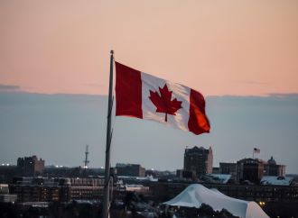 Le marché canadien des études marketing.