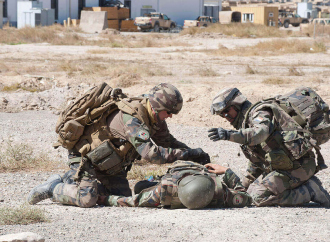 L'IA en médecine militaire : applications, usages et données au service des soins