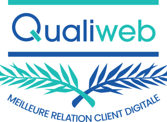 Perception et attentes des chabots et de l’IA dans la relation client
																			</h4>