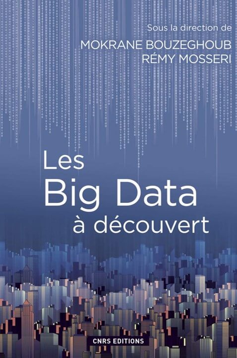 Couverture Les Big Data à découvert