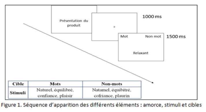 Séquence d'apparition des différents éléments : amorce, stimuli et cibles