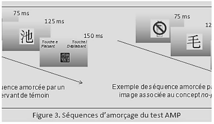 Séquences d'amorçage du test AMP