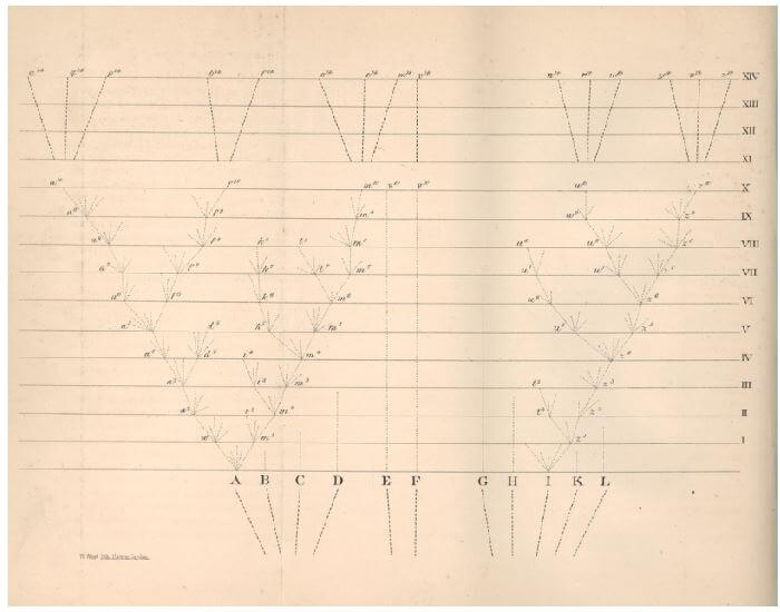 Tree of Life (1859), Charles Darwin