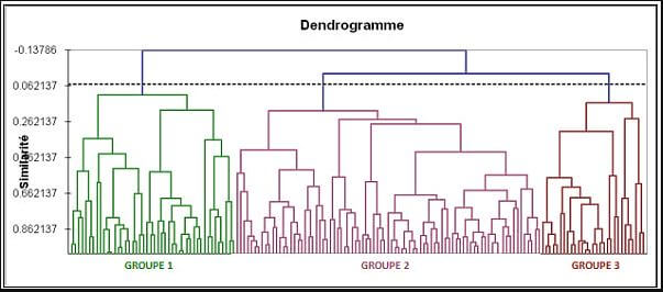 Dendogrramme